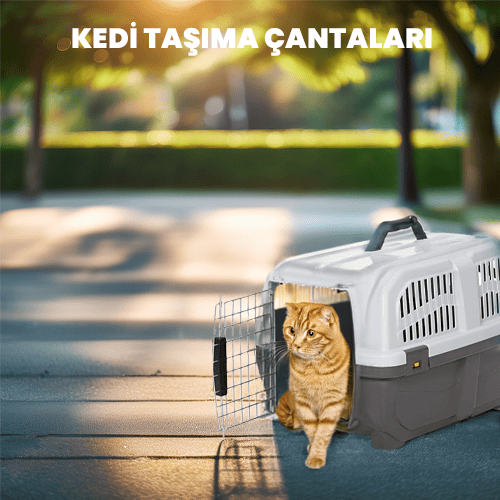 Kedi Taşıma Çantaları