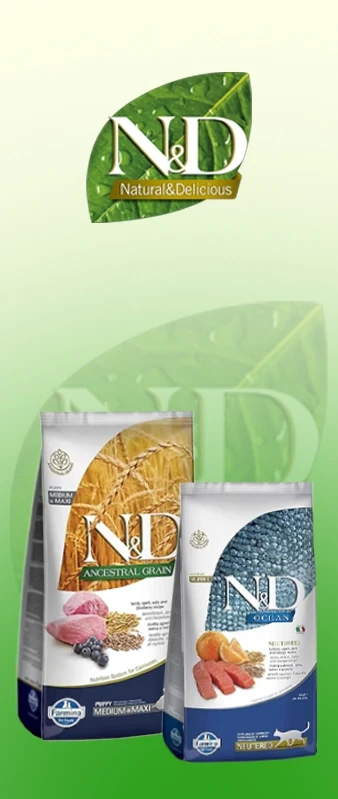 Aynı gün kargo banner