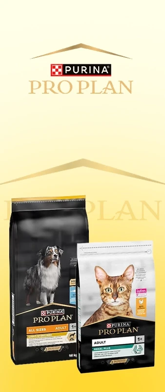 royal canin banner
