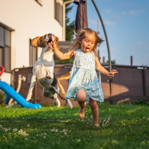 beagle çocuklarla anlaşır mı?