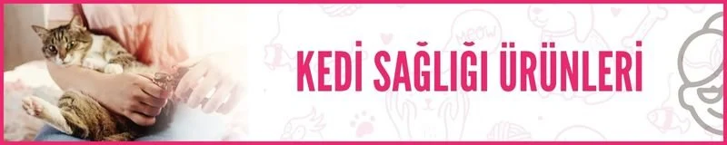 kedi maması karıştırılır mı kedi sağlığı