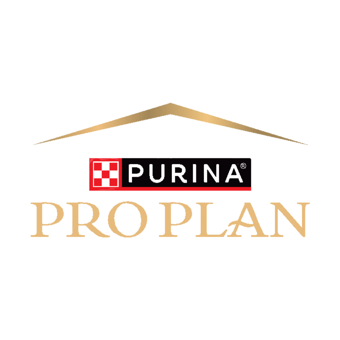 3 Kg Pro Plan Yavru Köpek Mamaları 140 Gr Schesir Yaş Mama Hediyeli