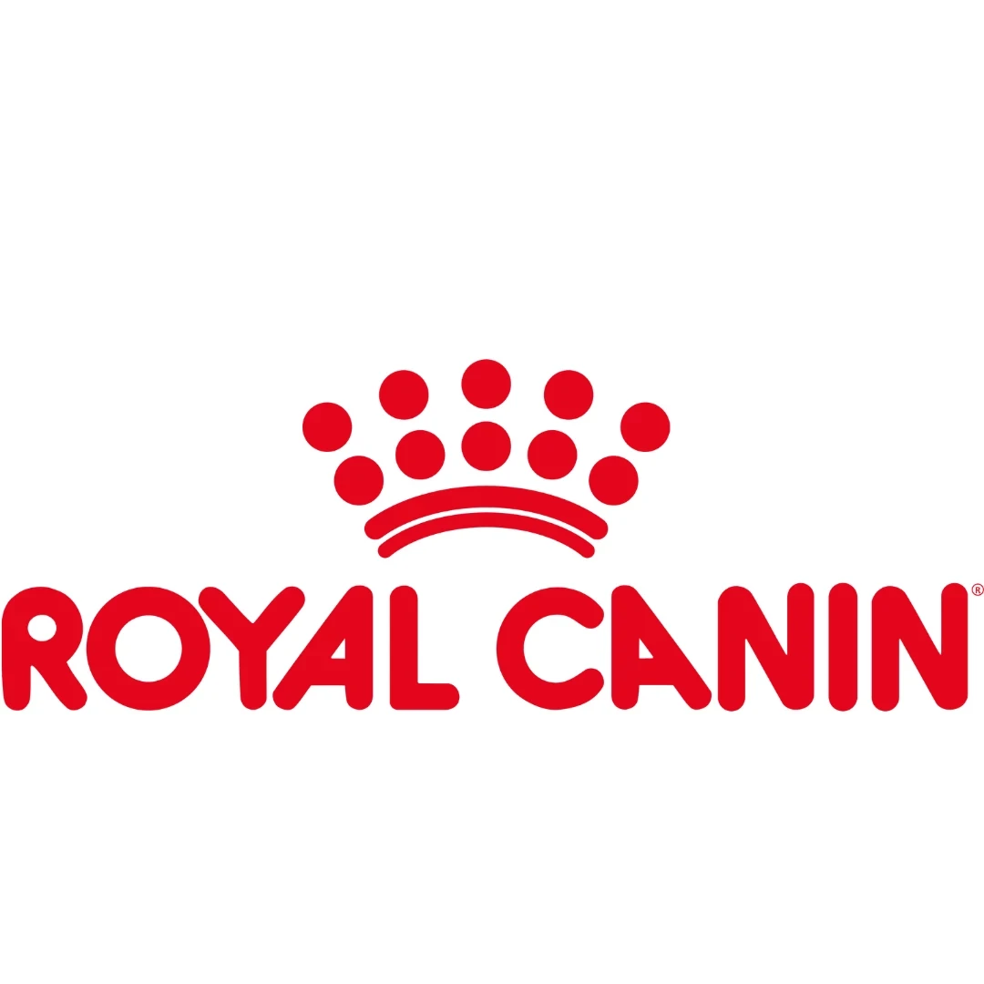 Royal Canin 1,5 ve 2 Kg Kedi Mamaları 4 Adet Prochoice 10 Gr Kedi Ödülü Hediyeli