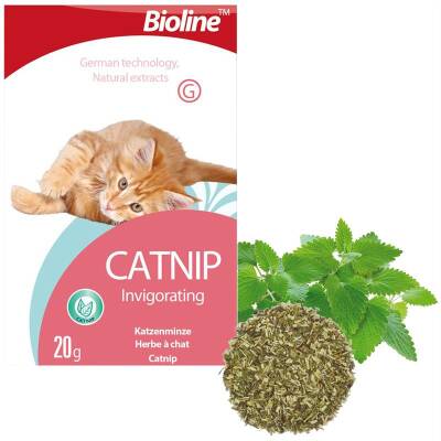 Bioline Catnip Doğal Kedi Nanesi 20 gr - 1