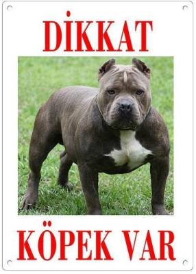 Dikkat Köpek Var levhası Pitbul - 1