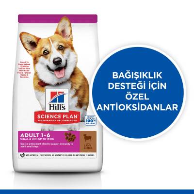 Hills Kuzu Ve Pirinçli Küçük Ve Mini Irk Yetişkin Köpek Maması 1,5 Kg - 2