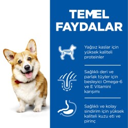 Hills Kuzu Ve Pirinçli Küçük Ve Mini Irk Yetişkin Köpek Maması 1,5 Kg - 5