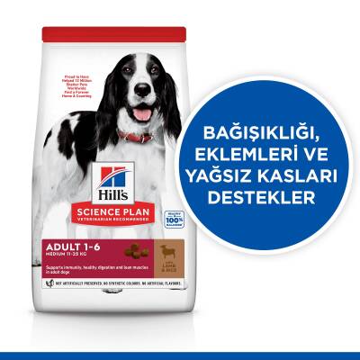 Hills Science Plan Adult Lamb&Rice Kuzu Etli Pirinçli Yetişkin Köpek Maması 2,5 Kg - 2