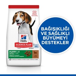 Hills Science Plan Puppy Kuzu Etli Yavru Köpek Maması 12 Kg (+2 Kg Hediyeli) - 3