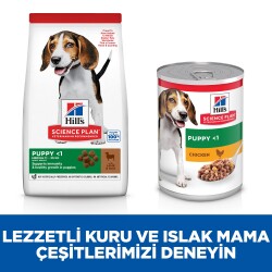 Hill's SCIENCE PLAN Orta Irk Kuzulu ve Pirinçli Yavru Köpek Maması 2.5 kg - 4