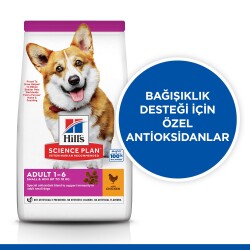 Hill's SCIENCE PLAN Yetişkin Küçük ve Mini Irk Tavuklu Köpek Maması 1.5 kg - 2