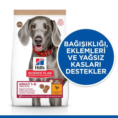 Hill's SCIENCE PLAN Tahılsız Yetişkin Büyük Irk Tavuklu Köpek Maması 12 kg - 4