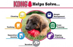 Kong Classic Köpekler İçin Isırma Oyuncağı XS - 3