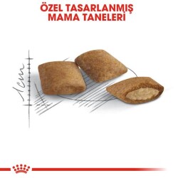 Royal Canin Ageing +12 (12 Yaş Ve Üzeri) Yaşlı Kedi Maması 2 Kg - 4