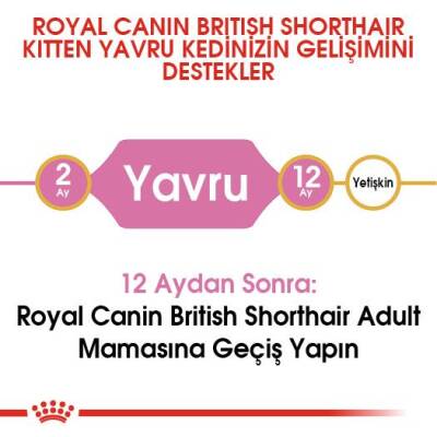 Royal Canin British Shorthair Için Özel Yavru Kedi Mamasi 2 Kg - 5