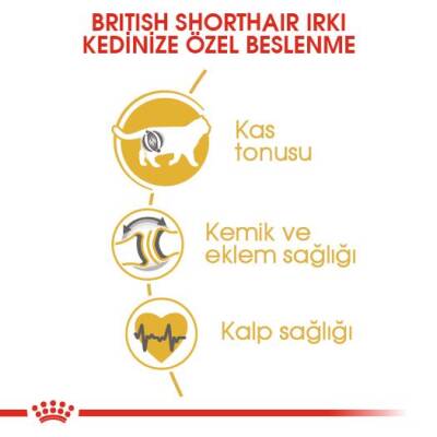 Royal Canin British Shorthair İçin Özel Yetişkin Kedi Maması 10 Kg - 4