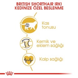 Royal Canin British Shorthair Yetişkin Kedi Maması 4 Kg - 4