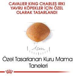 Royal Canin Cavalier King Charles Puppy Yavru Köpek Maması 1,5 Kg - 3