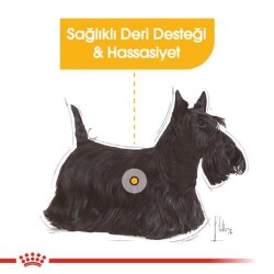 Royal Canin CCN Dermacomfort Deri Hassasiyetli Yetişkin Köpek Konservesi 85 Gr - 2