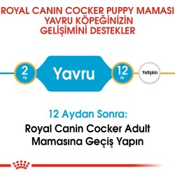 Royal Canin Cocker Puppy Yavru Köpek Maması 3 Kg - 5