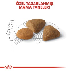 Royal Canin Exigent 35/30 Seçici Kedilere Özel Mama 10 Kg - 4