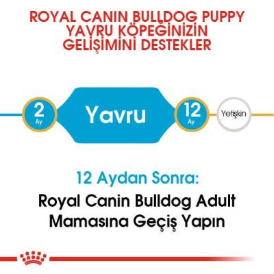 Royal Canin French Bulldog Puppy Yavru Köpek Maması 3 Kg - 2