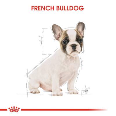 Royal Canin French Bulldog Puppy Yavru Köpek Maması 3 Kg - 5