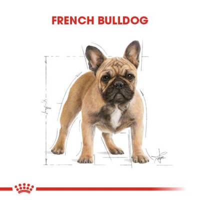 Royal Canin French Bulldog Yetişkin Köpek Maması 3 Kg - 3