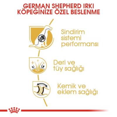 Royal Canin German Shepherd Adult Alman Kurduna Özel Yetişkin Köpek Mamasi 11 Kg - 3