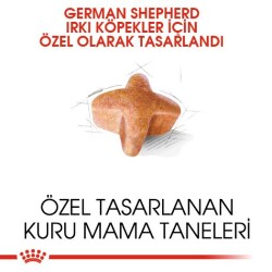 Royal Canin German Shepherd Adult Alman Kurduna Özel Yetişkin Köpek Mamasi 11 Kg - 2