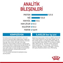 Royal Canin Giant Junior Dev Irk Yavru Köpek Mamasi 15 Kg - 4