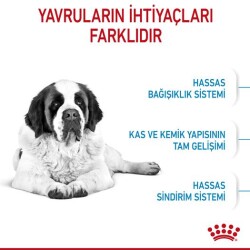 Royal Canin Giant Junior Dev Irk Yavru Köpek Mamasi 15 Kg - 2