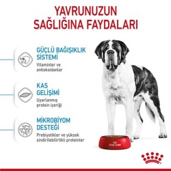 Royal Canin Giant Junior Dev Irk Yavru Köpek Mamasi 15 Kg - 3