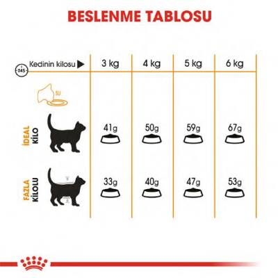 Royal Canin Hair & Skin Hassas Tüylü Kediler İçin Mama 2 Kg - 4