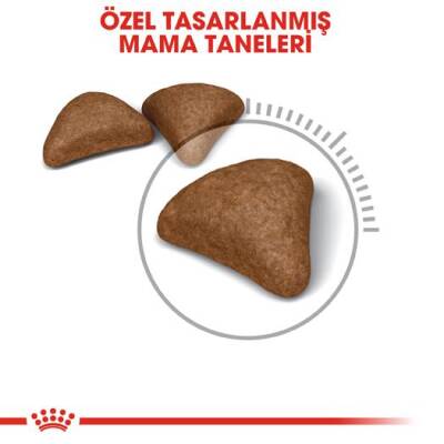 Royal Canin Hairball Tüy Yumaği Için Kedi Mamasi 34 2 Kg - 3