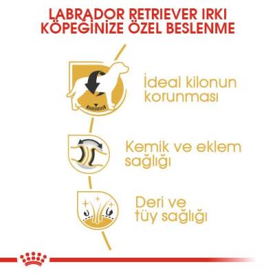 Royal Canin Labrador Retriever Köpek Maması 12 Kg - 3