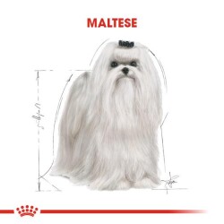 Royal Canin Maltese Terrier Adult Köpek Mamasi 1,5 Kg - 3