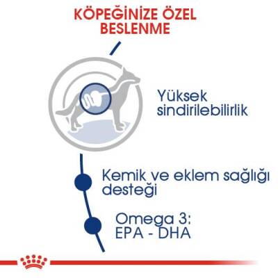 Royal Canin Maxi Adult Büyük Irk Yetişkin Köpek Maması 15 Kg - 2