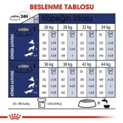 Royal Canin Maxi Adult Büyük Irk Yetişkin Köpek Maması 15 Kg - 3