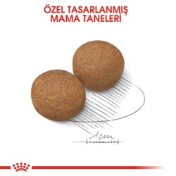 Royal Canin Maxi Adult Büyük Irk Yetişkin Köpek Maması 15 Kg - 10