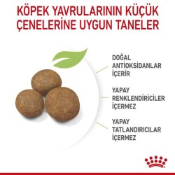 Royal Canin Maxi Puppy Büyük Irk Yavru Köpek Maması 15 Kg - 3