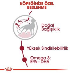 Royal Canin Medium Adult Orta Irk Yetişkin Köpek Mamasi 15 Kg - 2