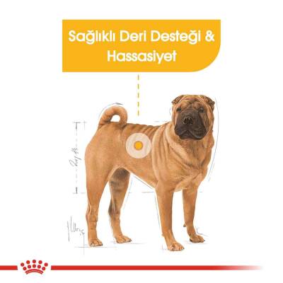 Royal Canin Medium Dermacomfort Yetişkin Köpek Maması 12 Kg - 2