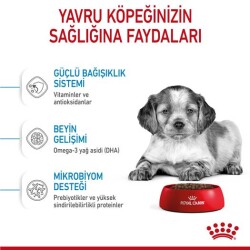 Royal Canin Medium Puppy Orta İrk Yavru Köpek Mamasi 15 Kg - 3