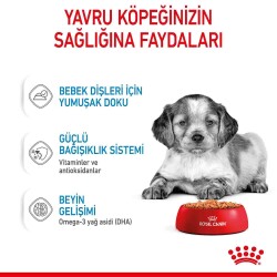 Royal Canin Medium Puppy Orta Irk Yavru Köpekler İçin Parça Etli Konserve Mama 140 Gr * 10 Adet - 4