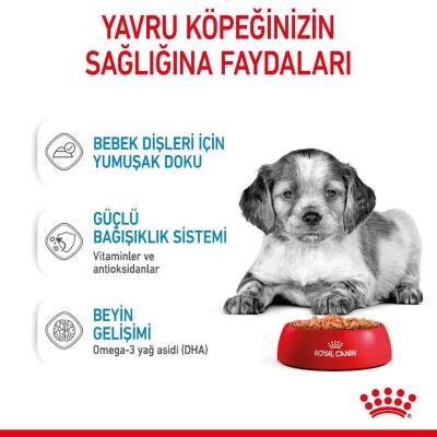 Royal Canin Medium Puppy Orta Irk Yavru Köpekler İçin Parça Etli Konserve Mama 140 Gr - 4