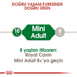 Royal Canin Mini Adult Küçük Irk Yetişkin Köpek Mamasi 4 Kg - 2