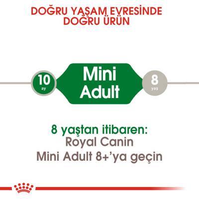 Royal Canin Mini Adult Ufak Irk Yetişkin Köpek Maması 2 Kg - 2