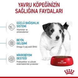 Royal Canin Mini Puppy Küçük Irk Yavru Köpek Maması 2 Kg - 2