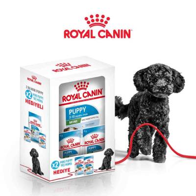 Royal Canin Mini Puppy Küçük Irk Yavru Köpek Maması 2 Kg ( 2 Adet Royal Canin Pouch Hediyeli) - 1